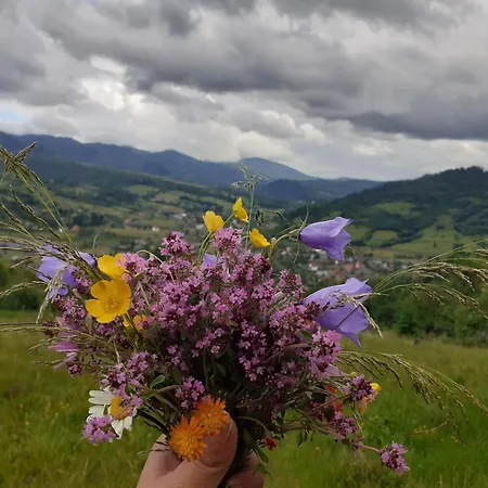 Penzion водограй 10 Tukhlya